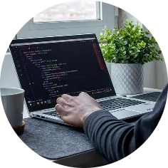 Website Development